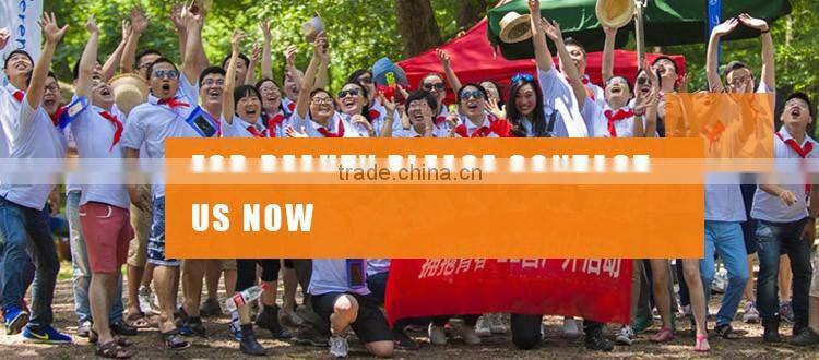 Golden Handle Double Head Big Powder Blush Sponge Makeup Brush