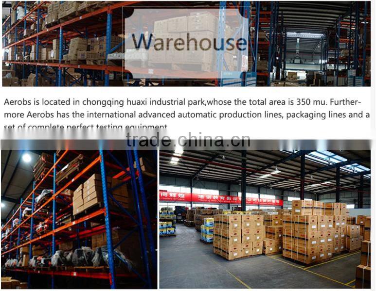 BSGE6500 Transfomers Chongqing China Aerobs Protable 5KV Recoil Hand Gasoline Generator for Choice