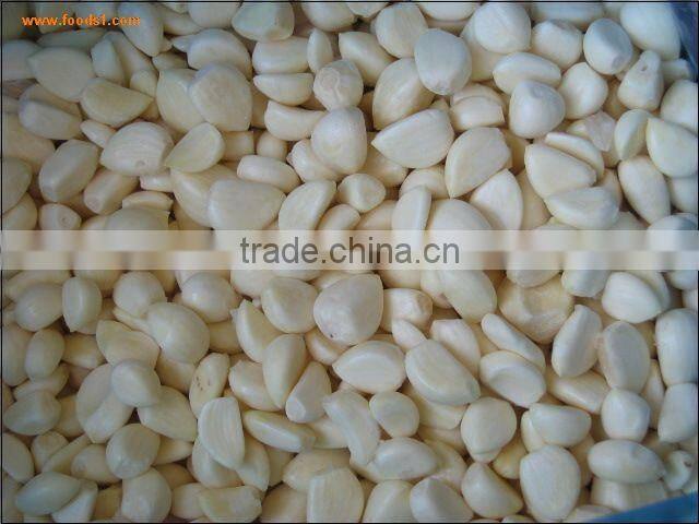 High quality dry method garlic peeler /peeling machine with CE