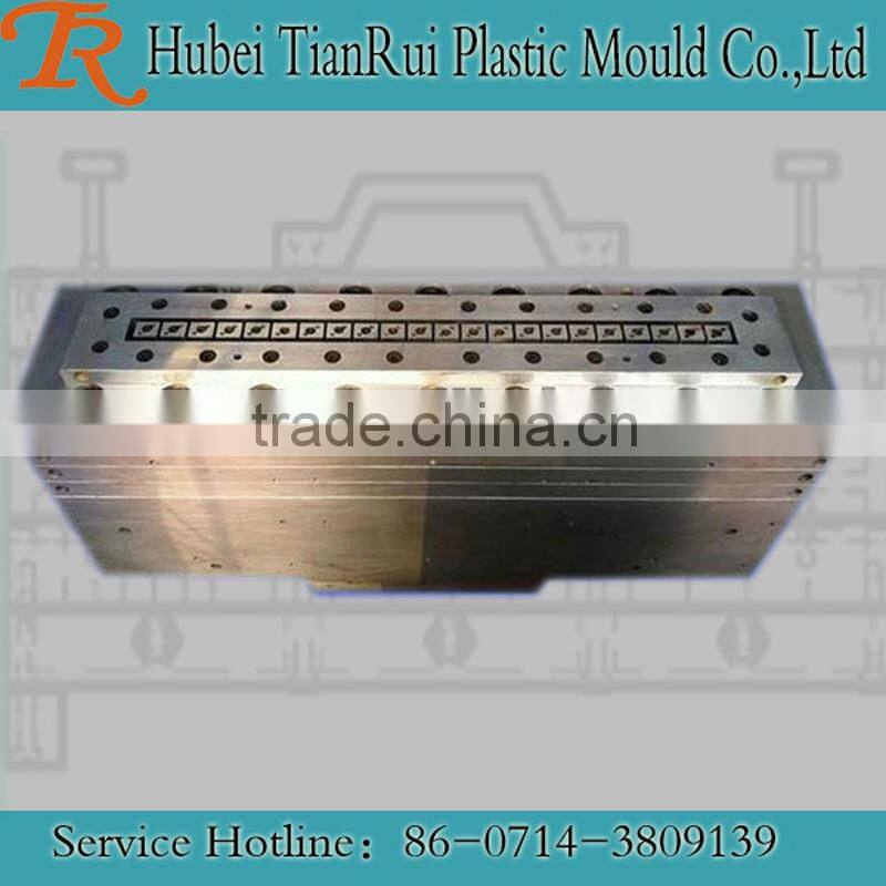 Top Quality WPC/PVC Decorative Panel Extrusion Mould