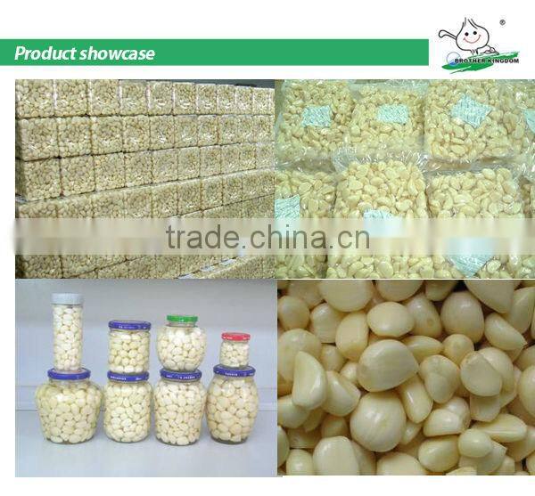 2014 high quliaty fresh peeled garlic clove