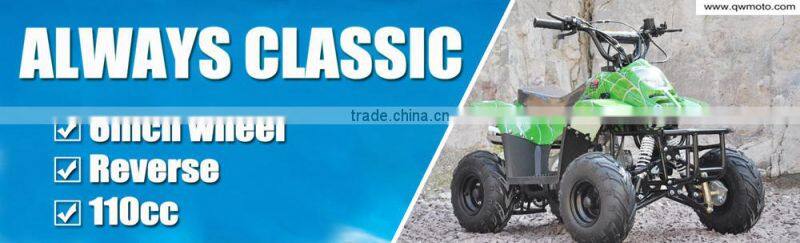 49CC 2 stroke mini Gas 2 wheel balancing Scooter for kids