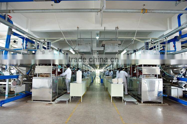 Christmas dinner paper tableware