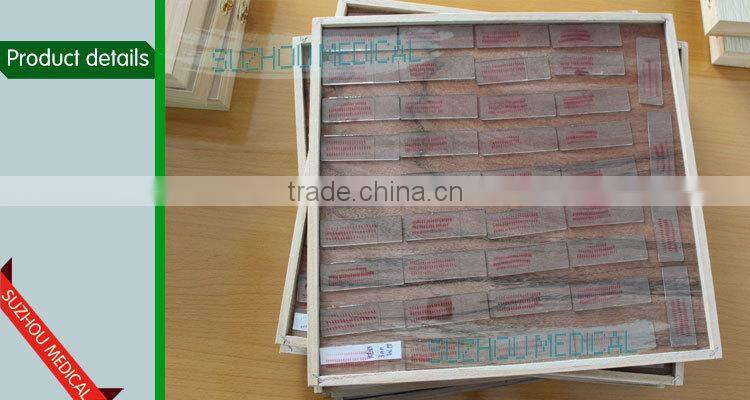 3-5mm 7-9mm 10-11 frog embryo prepared microscope slides