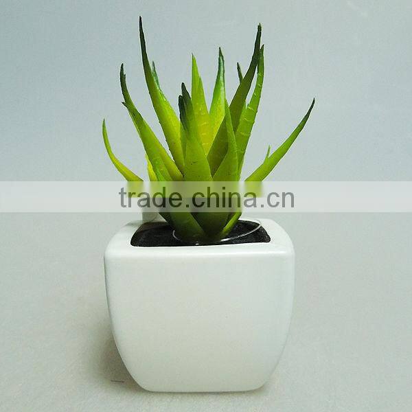 beauty plastic pot plants for living room decoration