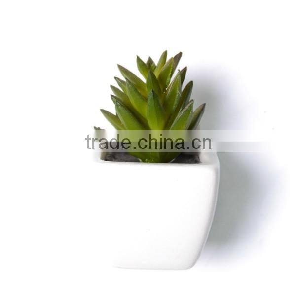 Nearly Natural Artificial Succulent Garden Desk Top Plant in Planter