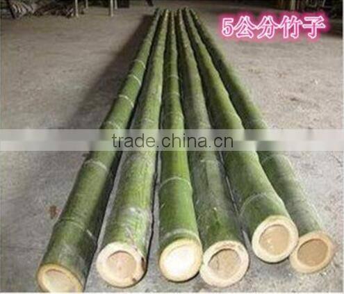 Homestar Cheap Bamboo Fence Designs / Natural cheap Roll bamboo fence For Sale