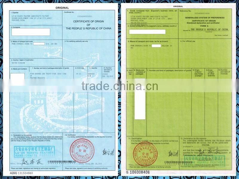 beautiful pink feather wing-6