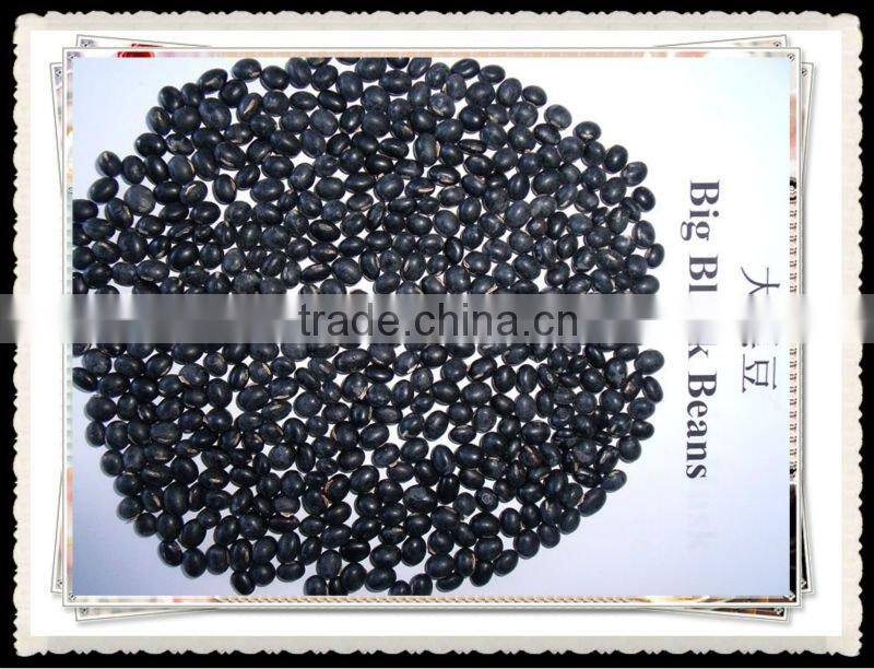 China Origin Big Black Bean 6.0mm above
