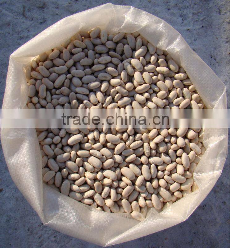 2014 Chinese white kidney bean with cheap price