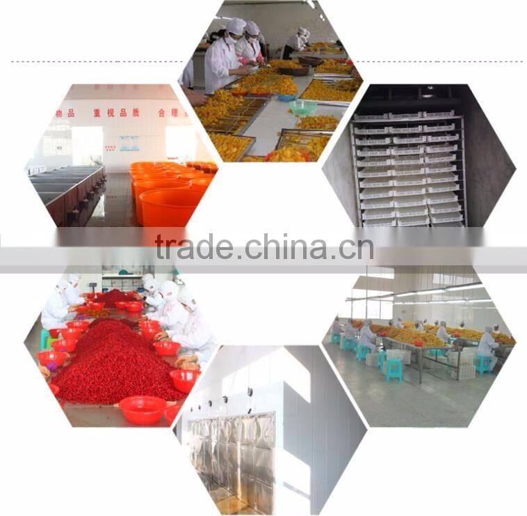 Dried fruits dried apple dried apple dice