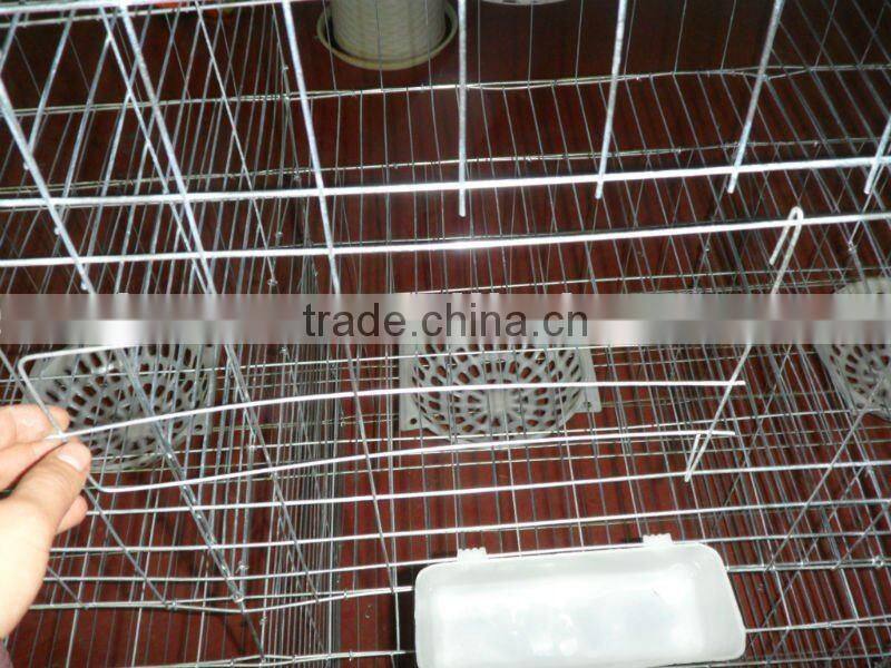 Poultry Equipment HIGH QUALITY PIGEON CAGE (FACTORY)