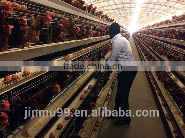 High quality galvanised steel wire layer chicken cage for sale