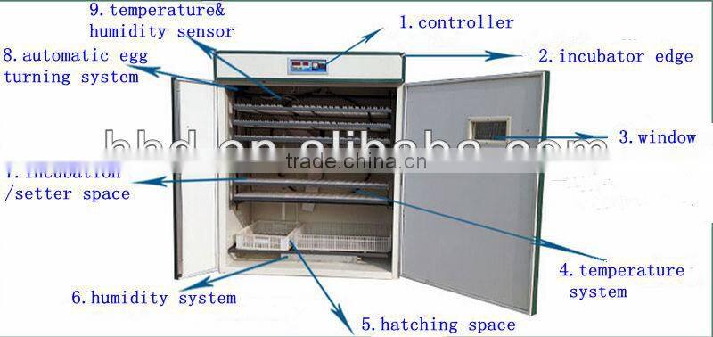 98% Hatching rate Full automatic industrial love birds egg incubator CE approved
