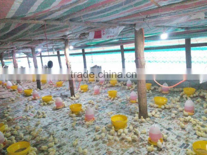 Plastic gravity-flow chick or quail feeder