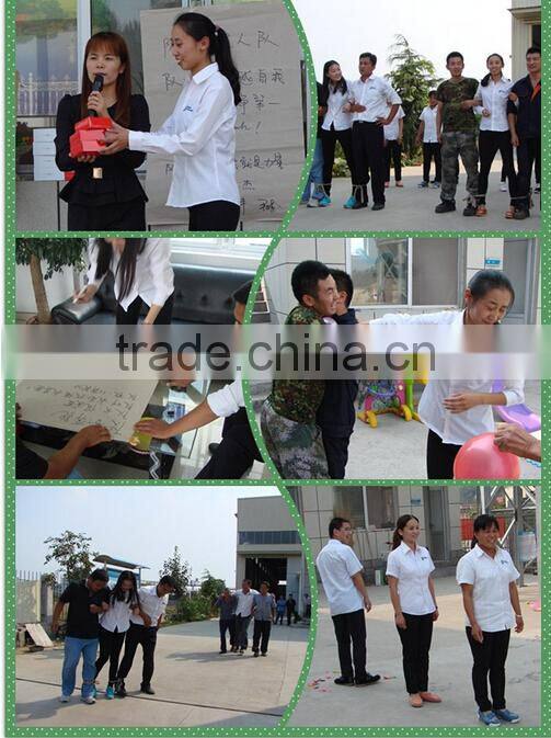 belt conveyor system price