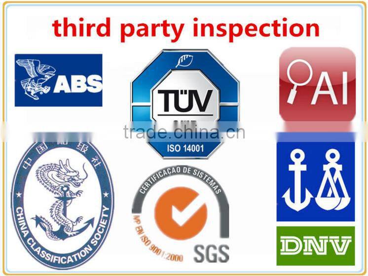 hydraulic cylinder seals