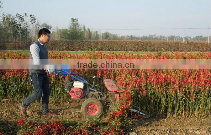 Discount Mini reaper harvester for pepper