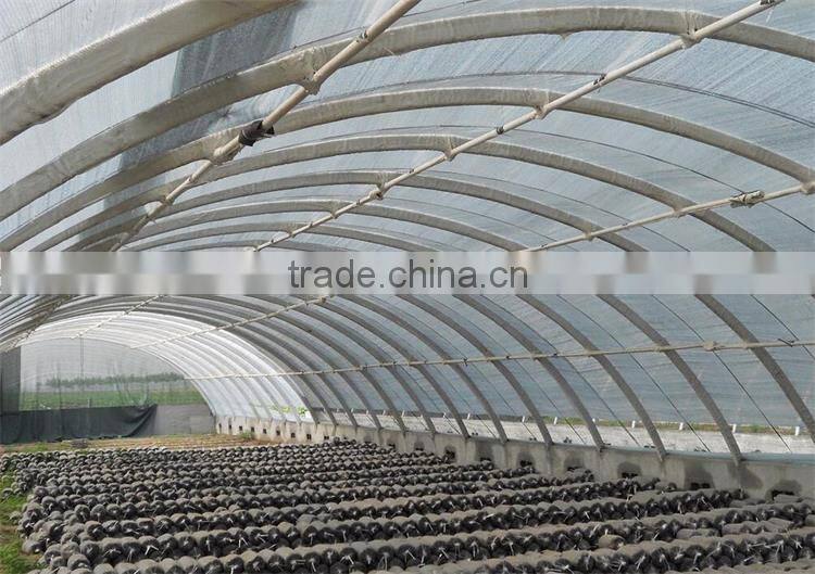 Tunnel Greenhouses With Supporting Systems