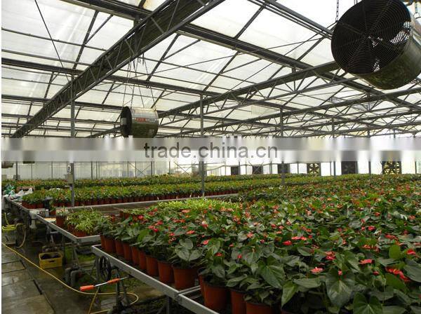 greenhouse mist irrigation system solar irrigation system for agriculture with low price