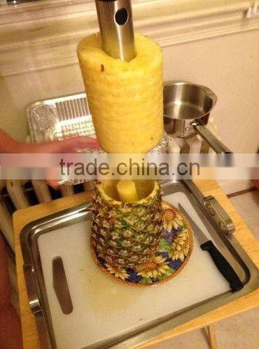 Stainless Steel Pineapple Easy Slicer