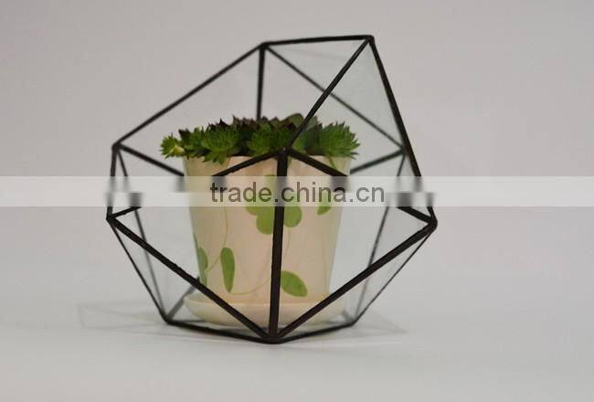 Home design clear glass terrarium succulent plants greenhouses