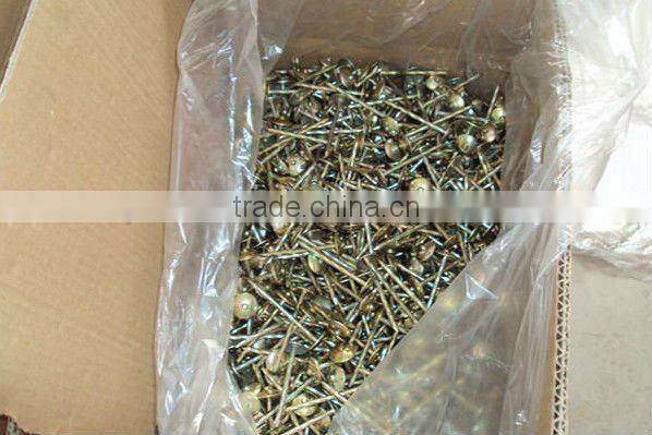 11 gauge roofing nail