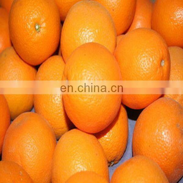 Automatic lemon squeezer | Mini lemon squeezer | Lemon squeezer machine