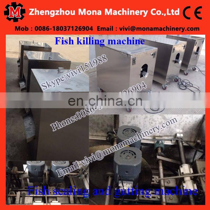 automatic small fish cleaning machine|anchovy fish killer machine|Tilapia gutting machine