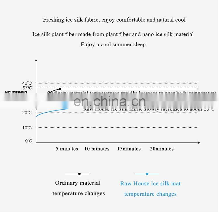 RawHouse design ice silk summer sleeping mat