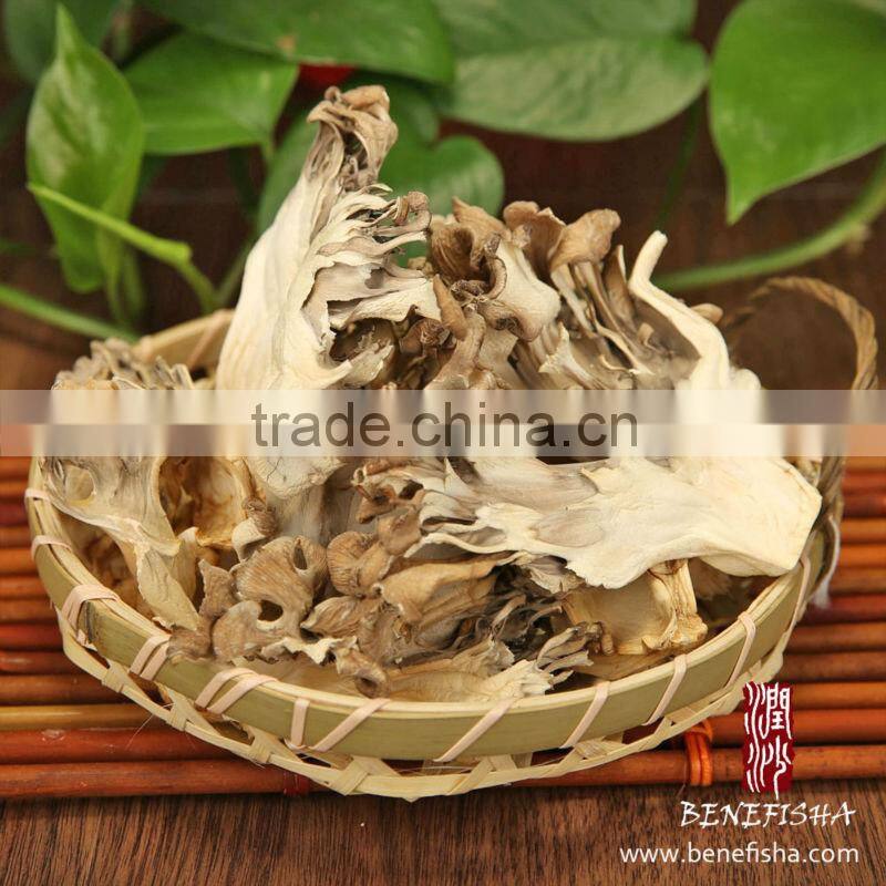 Dried Maitake Mushroom