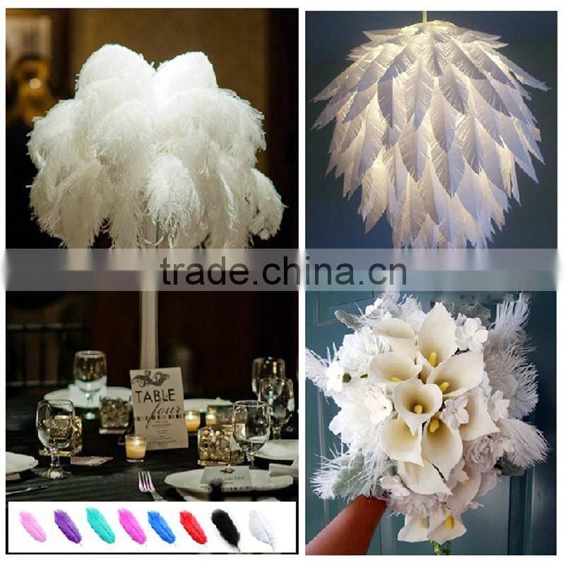 pink ostrich feathers, 15-75cm Ostrich Plume ,animal feathers for sale