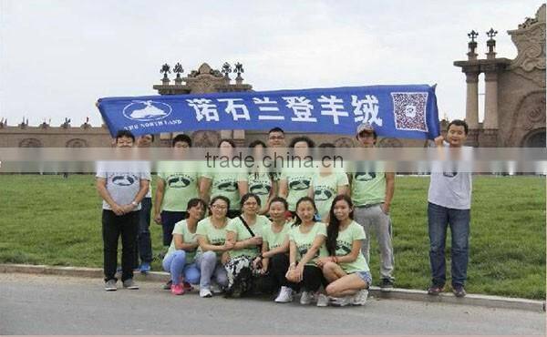 Wool Cashmere Scottish Tartan Scarf WCS14112212