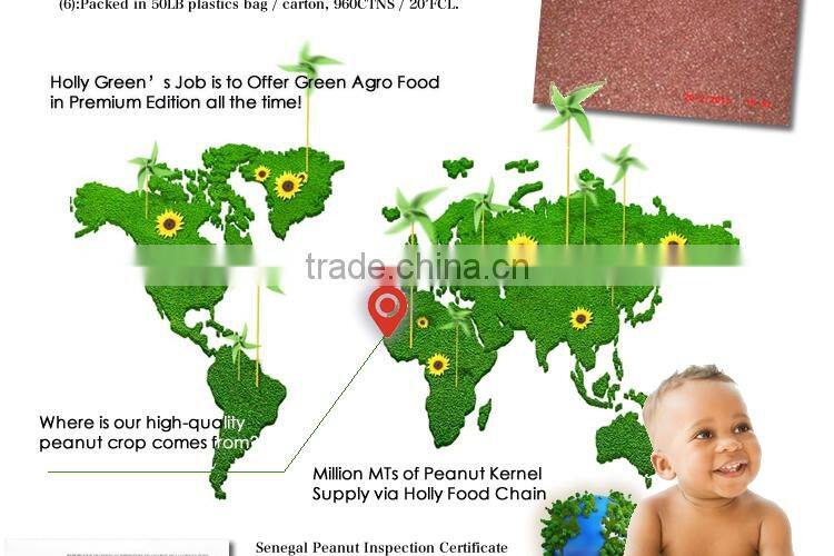 Grade AAA Senegal African Peanut Kernel premium raw blanched in shell red skin peanut butter CPT CIF CFR CHINA WORLD MARKET