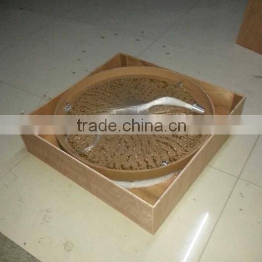 FRANKEVER OEM Fiber Optic Ceiling Chandelier Light