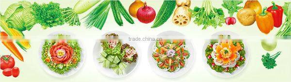 JAPAN WAKODO Health Care Soft Food Diet for Elderly & Seniors