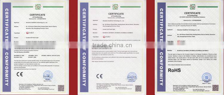 IP 65 no flashing high efficiency outdoor emergency light led