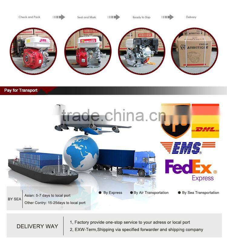 Best Quality OHV Gasoline Engine 6.5HP Gasoline Engine GX200