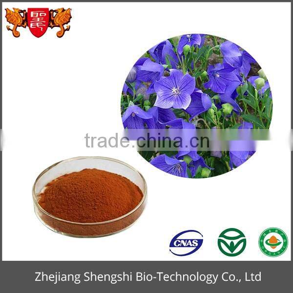 Hot sale fresh cut flowers Balloon flower extract powder with high quality