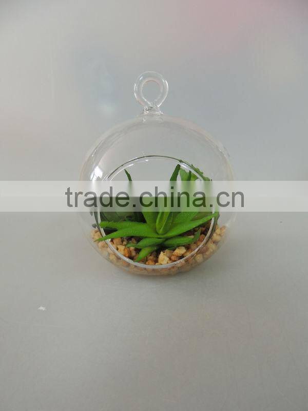 high quality with glass ball plants for home decoration
