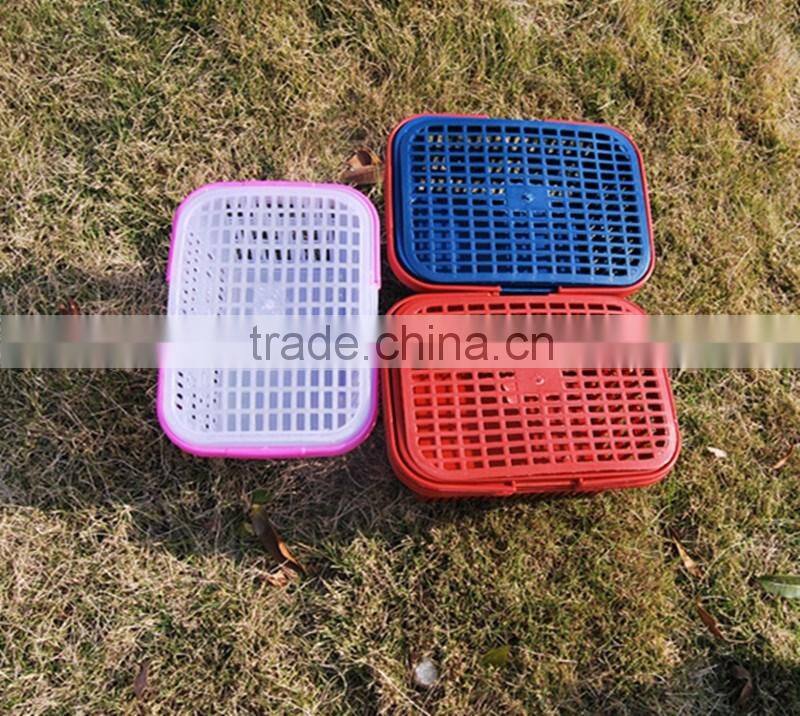 Taizhou New Injection With Handle With Lid Plastic Fruit Basket Mould