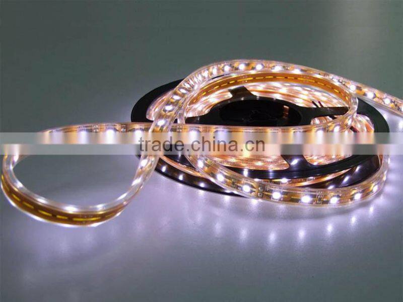 SMD3528 Waterproof IP68 Silicone Glue Tube Led Flexible Strip
