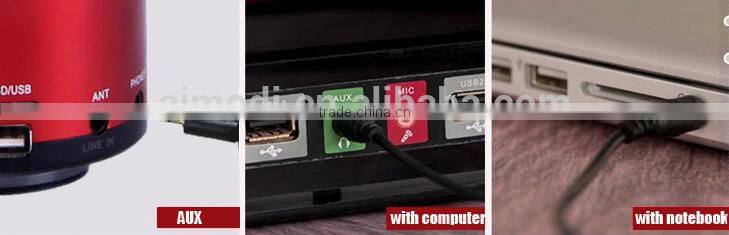 hands-free Miniion fm radio portable mini speaker with cheap price