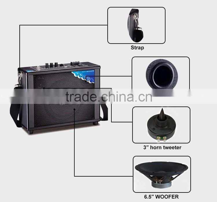Single 6.5inch Woofer Audio Equipment with Rechargeable Battery Promotioanal Speaker