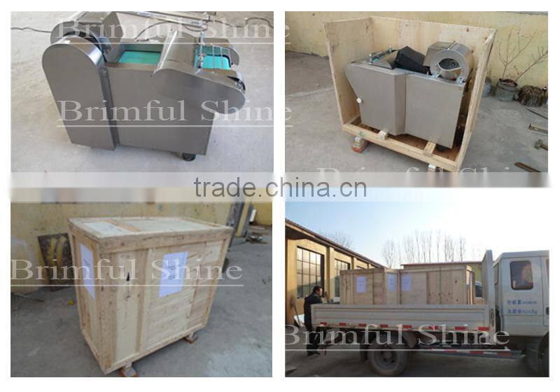 food processing machine