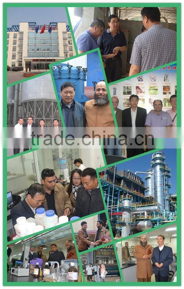 100TPD Dinter rapeseed oil press expeller factory