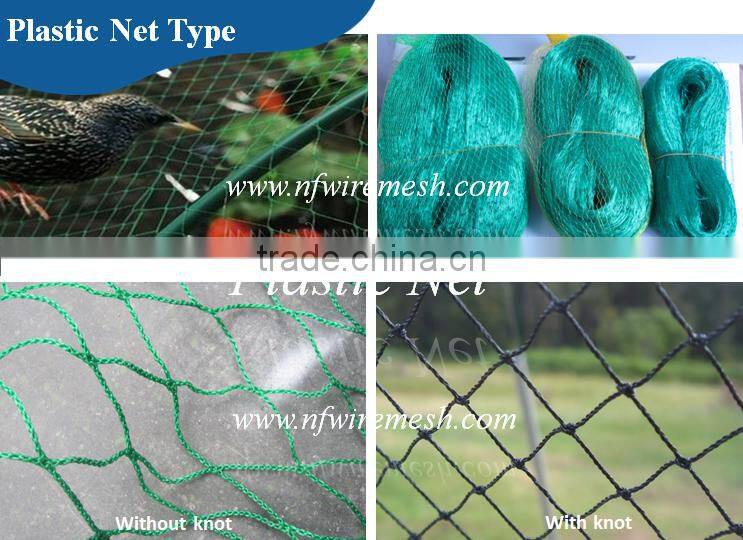 knotless anti bird protection safety net/100% HDPE UV Agricultural Anti Bird Net(Guangzhou Factory)