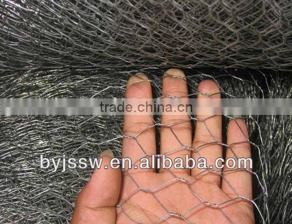 Galvanized Chicken Cloth Wire Netting