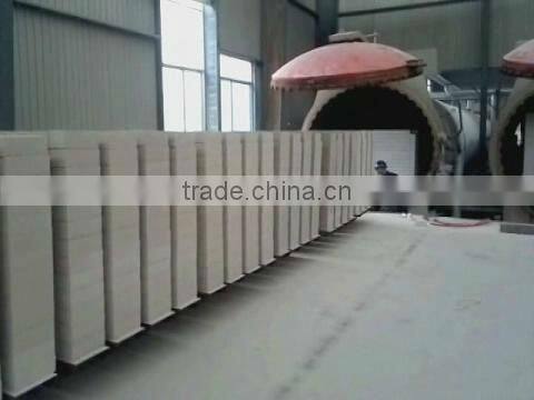 SD-1300x2!! Fly Ash Brick Making Machine, Sand Lime Brick Making (Dongyue)