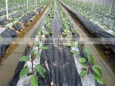 Two Colors Plastic Film Plant 8